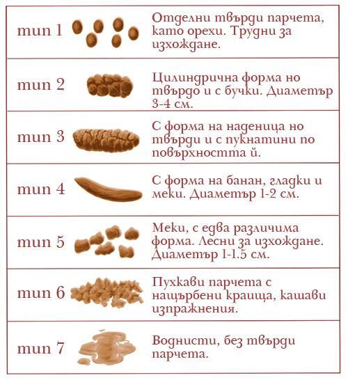 Как изглеждат нормалните изпражнения