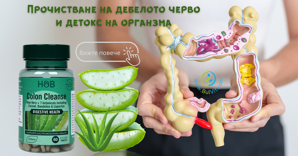 Прочистване на Дебелото Черво и Детокс на Организма
