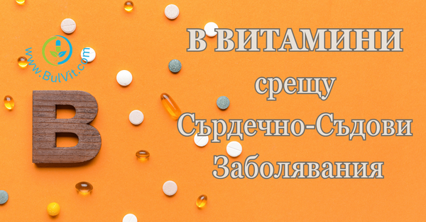 B Витамини срещу Сърдечно-Съдовите Заболявания