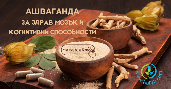 Ползите на Ашвагандата за Мозъка
