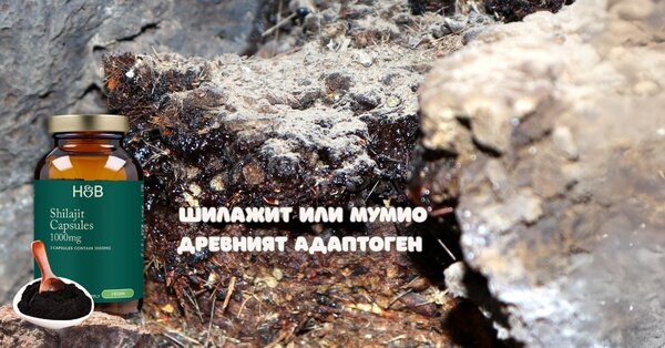 Шилажит (Shilajit): Древният Адаптоген с Научно Потвърдено Действие