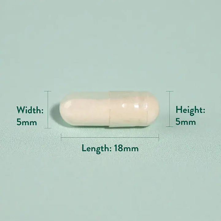 Пробиотик с Ацидофилус (Potent Acidophilus 3 Billion) 3млрд. 120 капсули