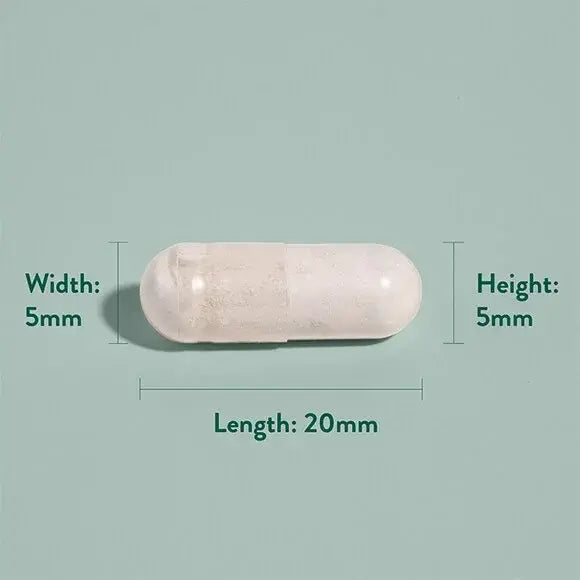 Нежно желязо / Gentle Iron 20mg 90 capsules