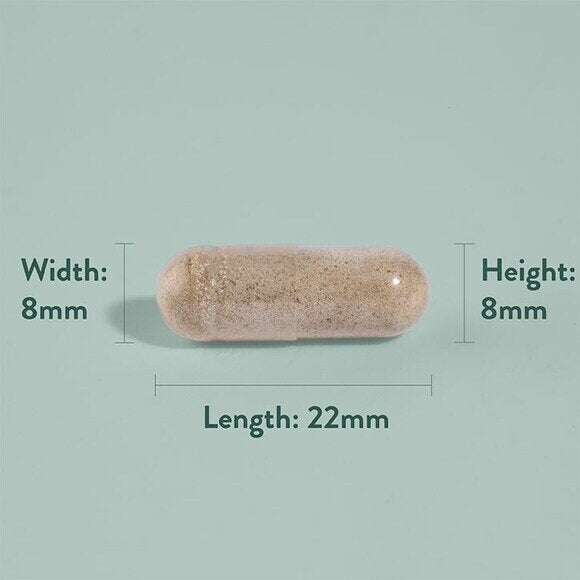 Сминдух / Fenugreek 610 mg 90 capsules