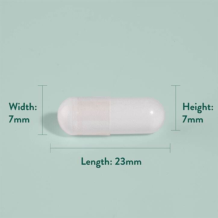 Сао Палмето 450mg + Цинк / Saw Palmetto with Zinc 60 Vcaps