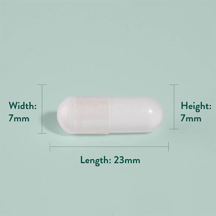 Сао Палмето 450mg + Цинк / Saw Palmetto with Zinc 60 Vcaps