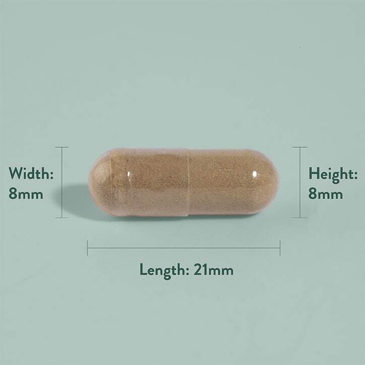 Трибулус / Tribulus Terrestris Extract 250mg 90 capsules
