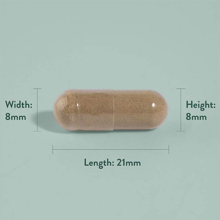 Трибулус / Tribulus Terrestris Extract 250mg 90 capsules