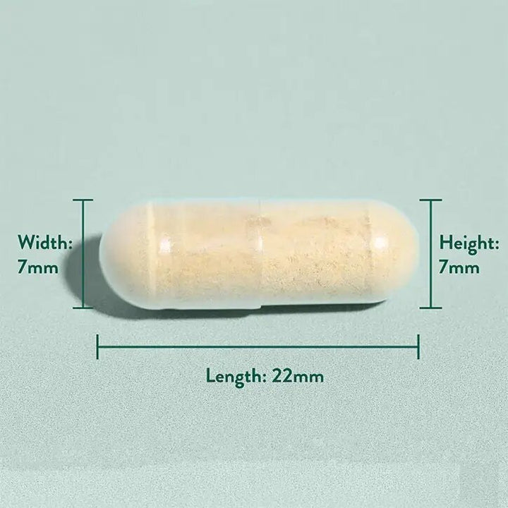 Бял трън екстракт / Milk Thistle 30 capsules