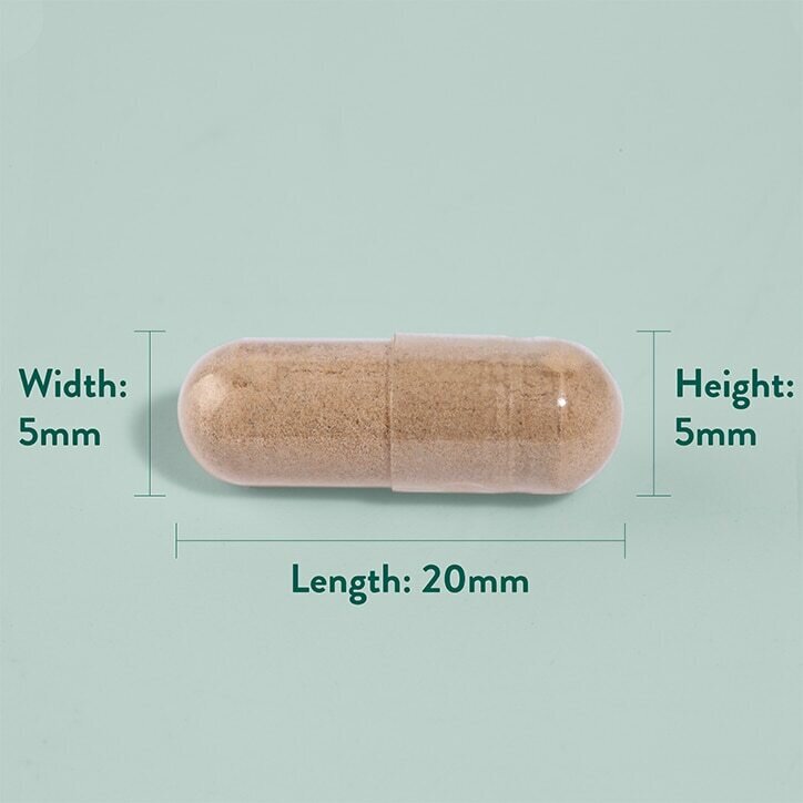 Котешки нокът / Cat`s Claw (саменто) 300mg 90 capsules
