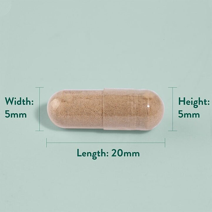 Котешки нокът / Cat`s Claw (саменто) 300mg 90 capsules