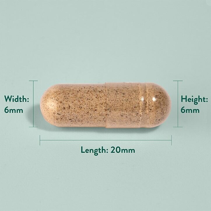 Салвия (градински чай) / Sage Leaf  252 mg 100 capsules
