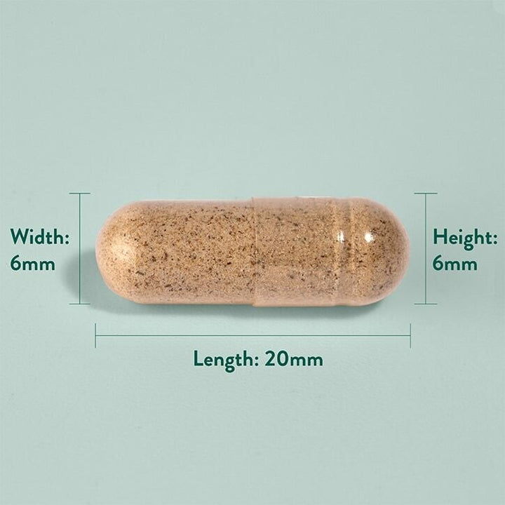 Салвия (градински чай) / Sage Leaf  252 mg 100 capsules
