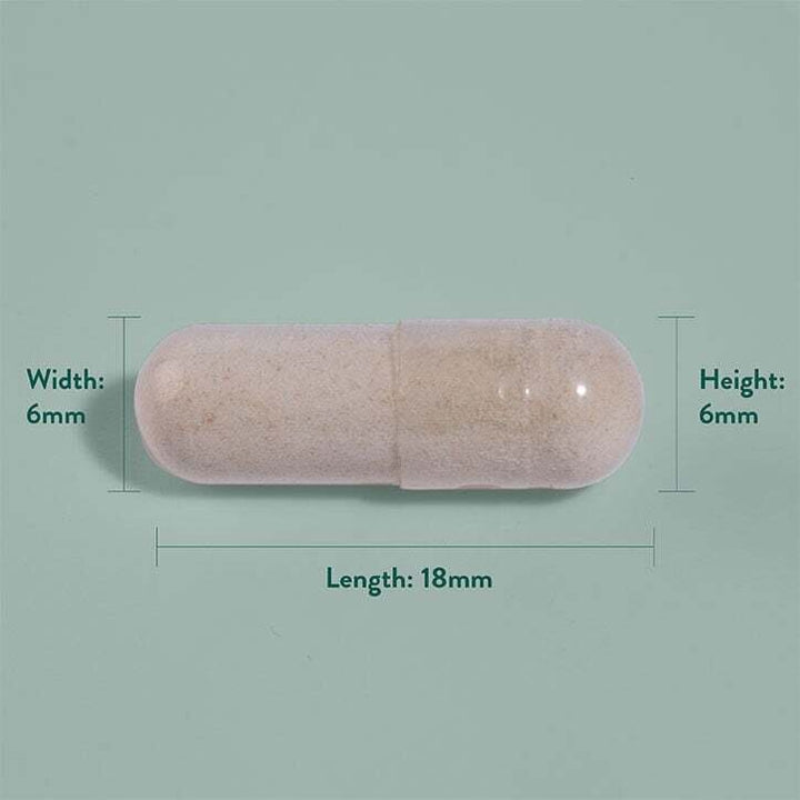 Корейски женшен / Korean Ginseng 500mg 90 capsules