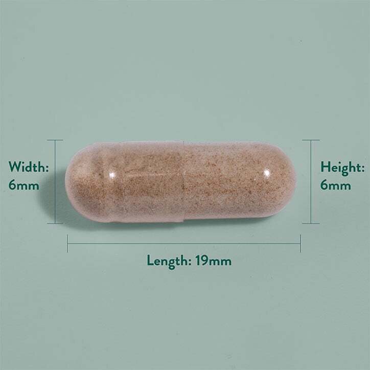 Мака екстракт от корен  / Maca Root Extract 500mg 90 capsules