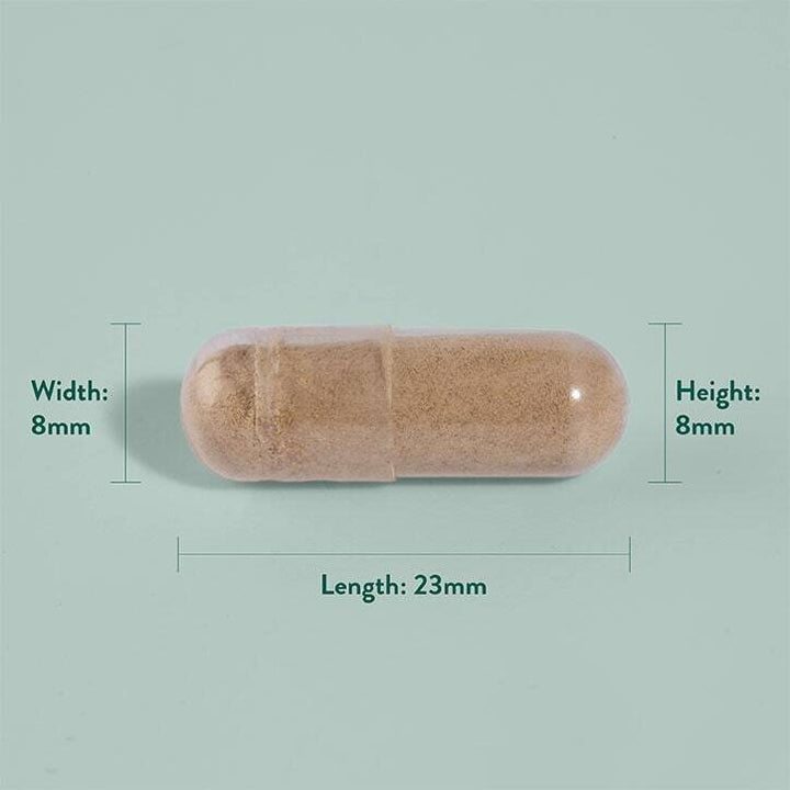 Ашваганда екстракт от корен (Ashwagandha KSM-66) 600mg 30 капсули