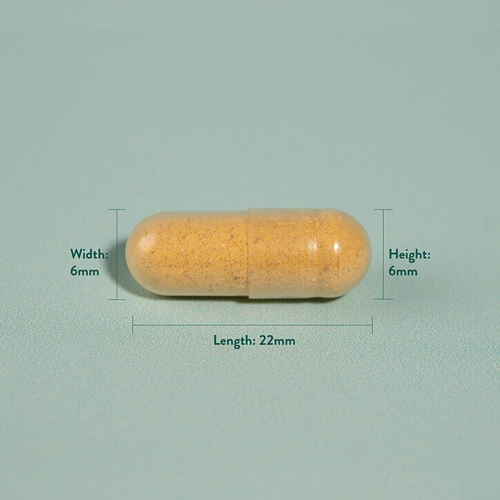 Куркума / Turmeric 500mg 90 capsules