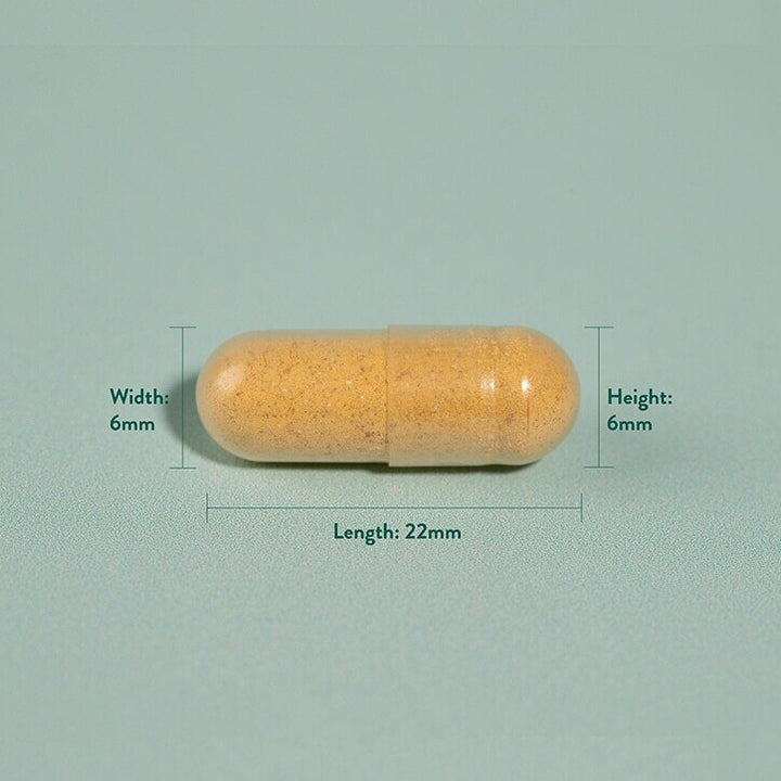Куркума / Turmeric 500mg 90 capsules