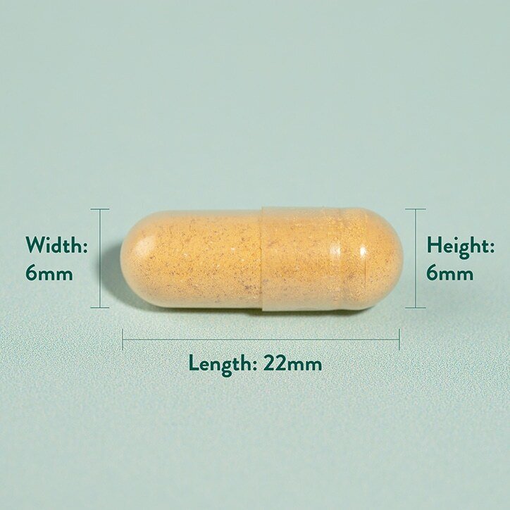 Куркума / Turmeric 500mg 240 capsules