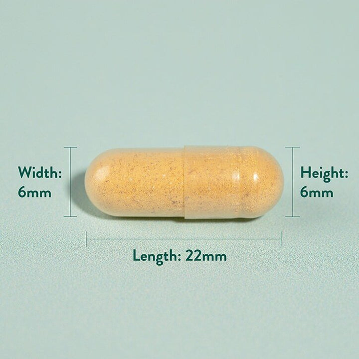 Куркума / Turmeric 500mg 240 capsules