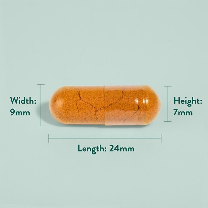 Турмерик 600мг с черен пипер / Turmeric with black pepper 600mg 90 capsules