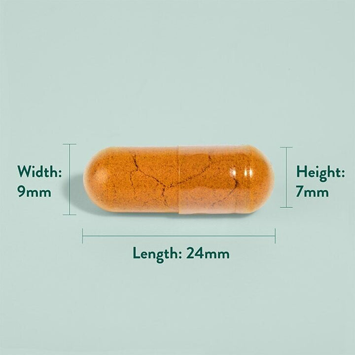 Турмерик 600мг с черен пипер / Turmeric with black pepper 600mg 90 capsules