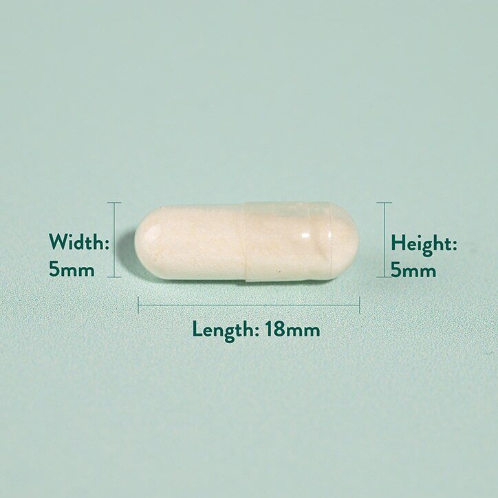 Пробиотик с Ацидофилус (Potent Acidophilus 10 Billion) 10млрд. 60 капсули