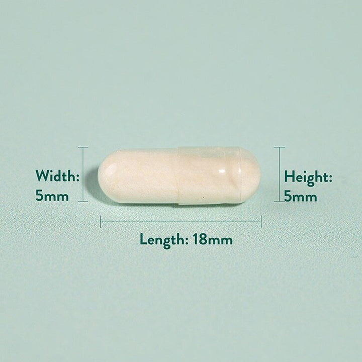 Пробиотик с Ацидофилус (Potent Acidophilus 10 Billion) 10млрд. 60 капсули