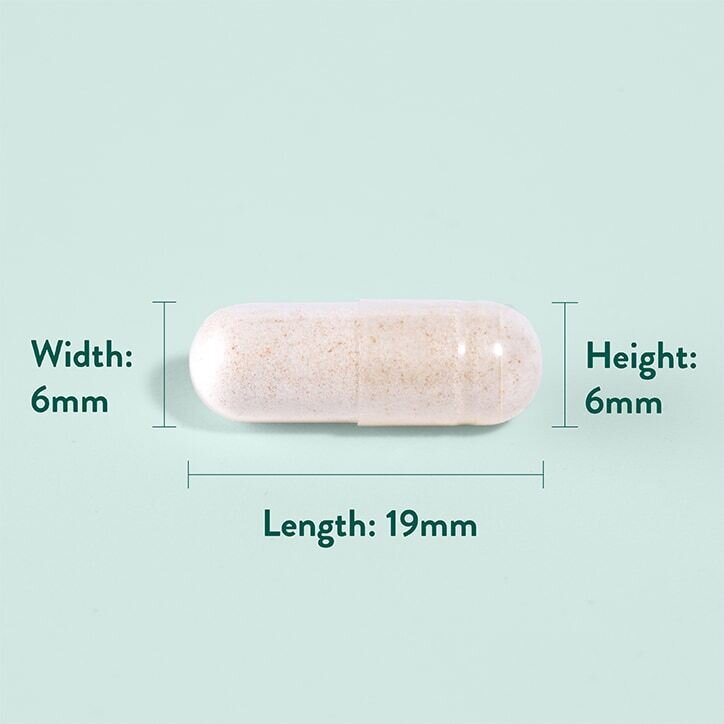 Kорен от джинджифил (Ginger Root) 484 мг 120 капсули
