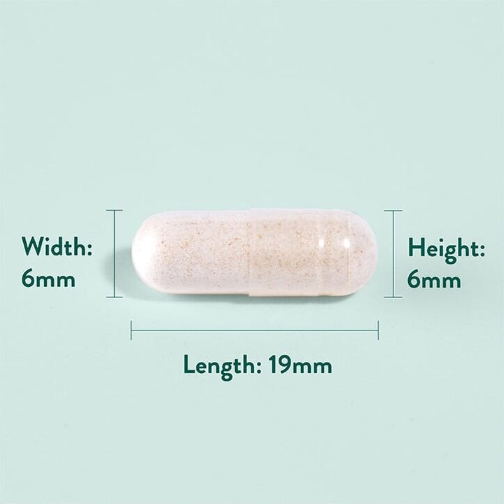 Kорен от джинджифил (Ginger Root) 484 мг 120 капсули