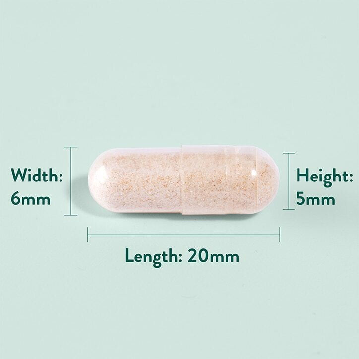 Хлъзгав бряст кора (Slippery Elm Bark) 370mg 90 капсули