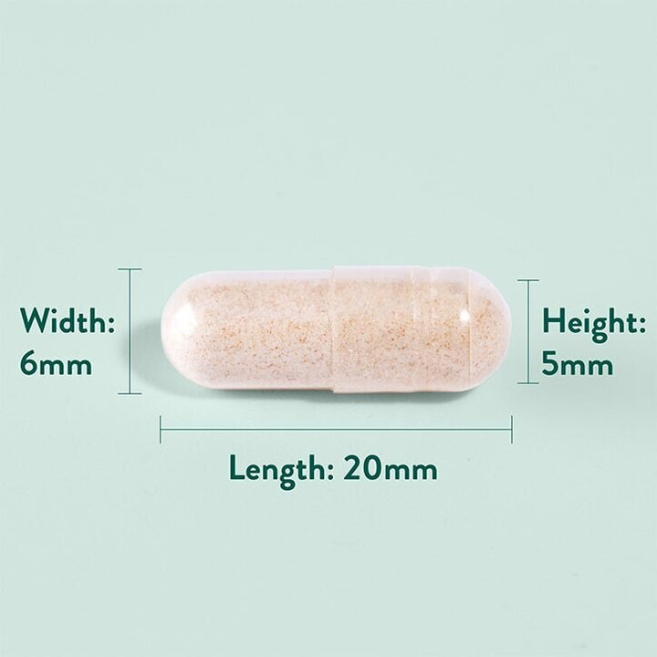 Хлъзгав бряст кора (Slippery Elm Bark) 370mg 90 капсули