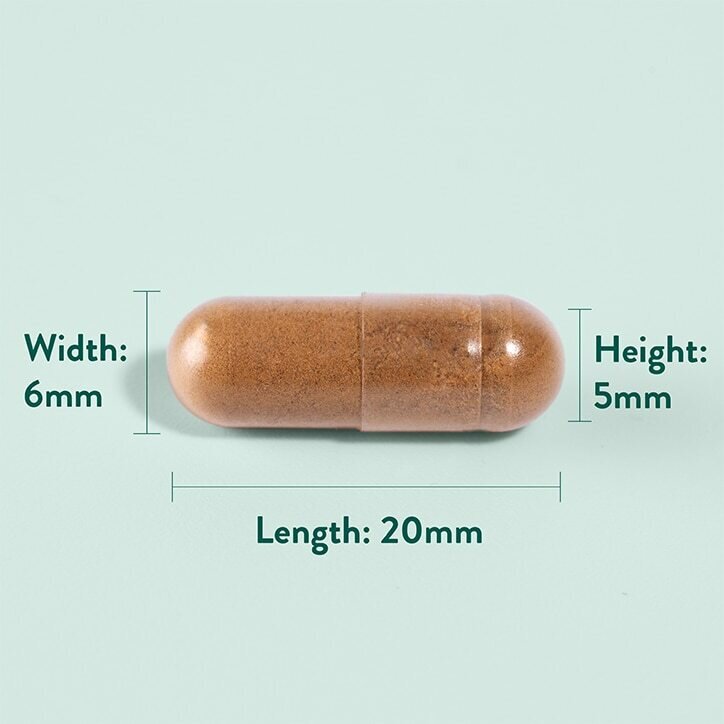 Артишок екстракт / Artichoke Extract 350mg 60 capsules