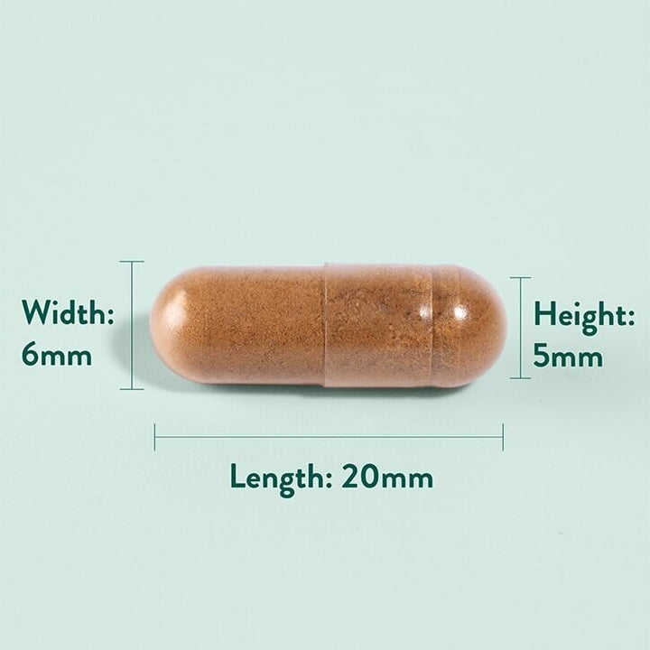 Артишок екстракт / Artichoke Extract 350mg 60 capsules