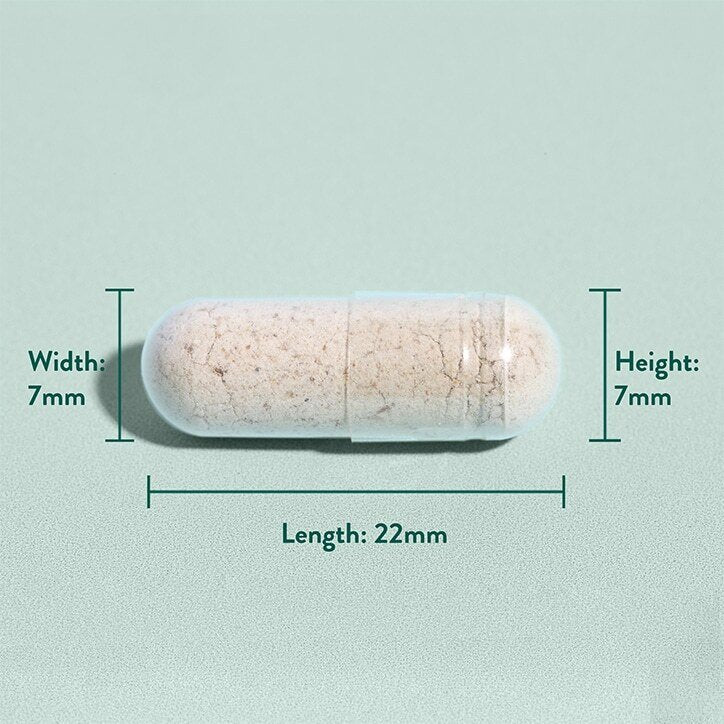 Псилиум хуск фибри (Psyllium Husk) 500mg 180 капсули