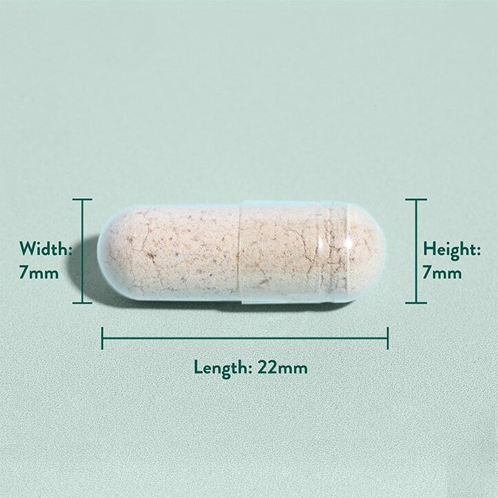 Псилиум хуск фибри (Psyllium Husk) 500mg 180 капсули